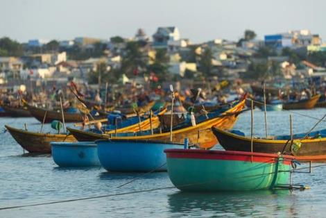 2026年中华人民共和国渔业法最新修订