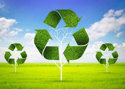 2026年生态环境监测条例最新版