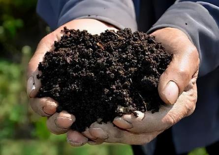 2026年中华人民共和国黑土地保护法最新版