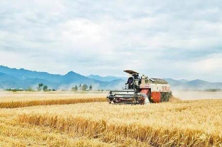 农业农村部门统计工作管理办法最新版