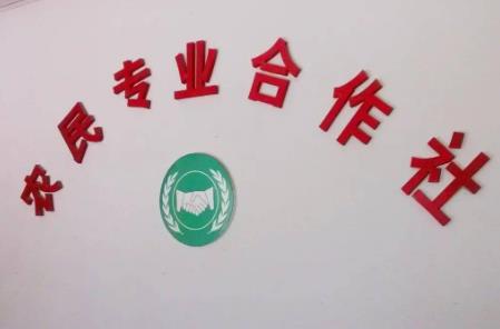 农民专业合作社年度报告公示办法最新版