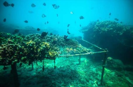 海洋环境保护法