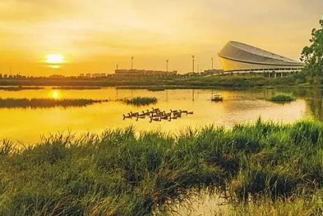 2026年南京市湿地保护条例最新修订