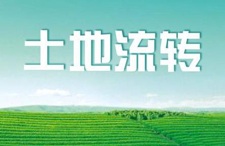 农村土地经营权出租合同范本最新版
