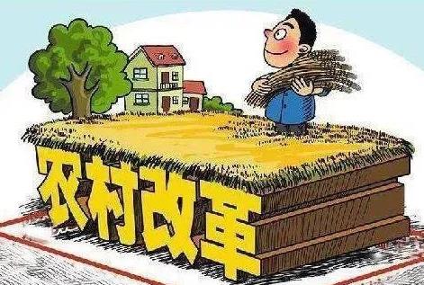 农村集体资产