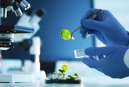 进出境非食用动物产品检验检疫监督管理办法2026全文