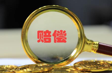 湖南省行政赔偿标准最新规定2026年