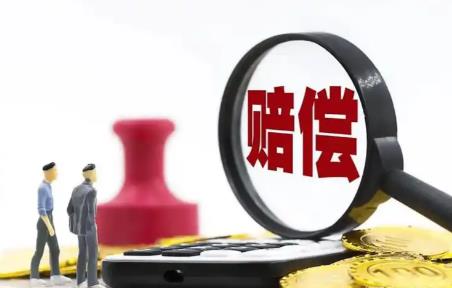 山东省行政赔偿标准最新规定2026年