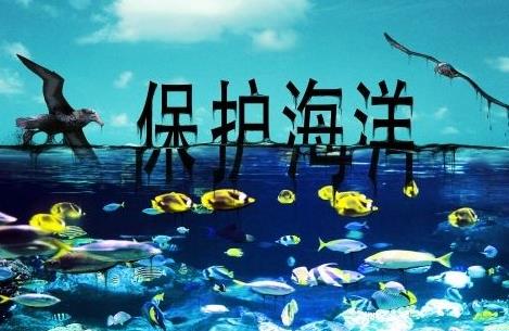 海洋生态环境