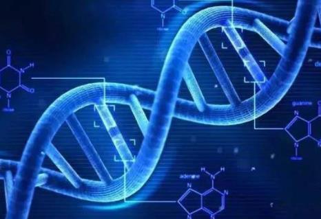 科学技术