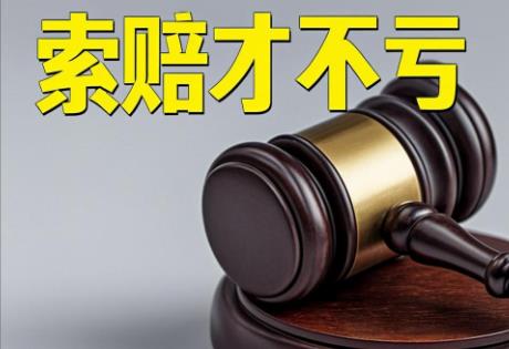 合肥市人身侵权损害赔偿标准最新2026年