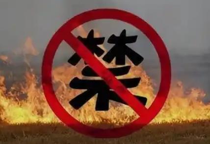 成都市禁止焚烧农作物秸秆办法2026全文