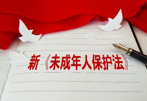未成年人保护条例