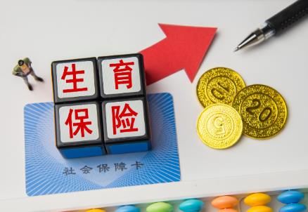海南省城镇从业人员生育保险条例2026全文