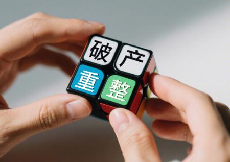 2026年中华人民共和国企业破产法若干问题的规定(三)