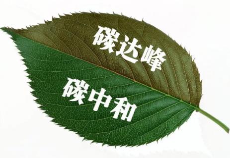 天津市碳达峰碳中和促进条例2026全文