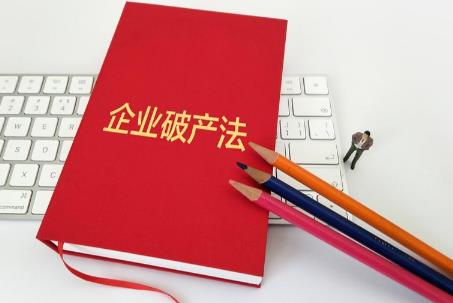 2026年中华人民共和国企业破产法若干问题的规定(一)