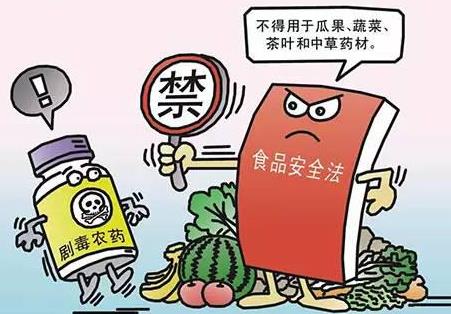 中华人民共和国食品安全法2026全文