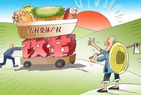 农村集体资产管理条例