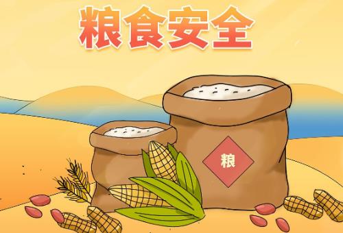 广西壮族自治区粮食安全保障条例2026全文