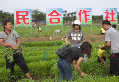 农民专业合作社