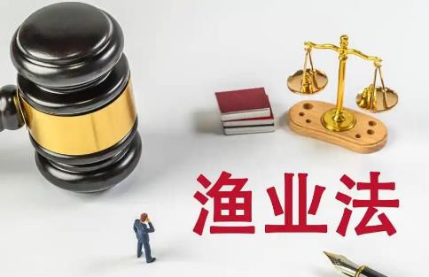 渔业促进